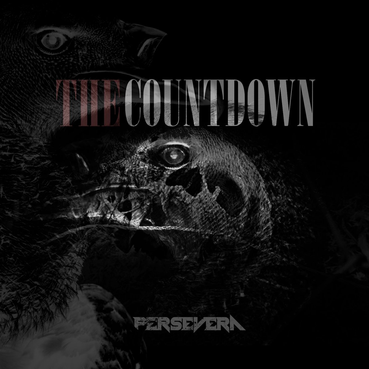 The Countdown Artwork